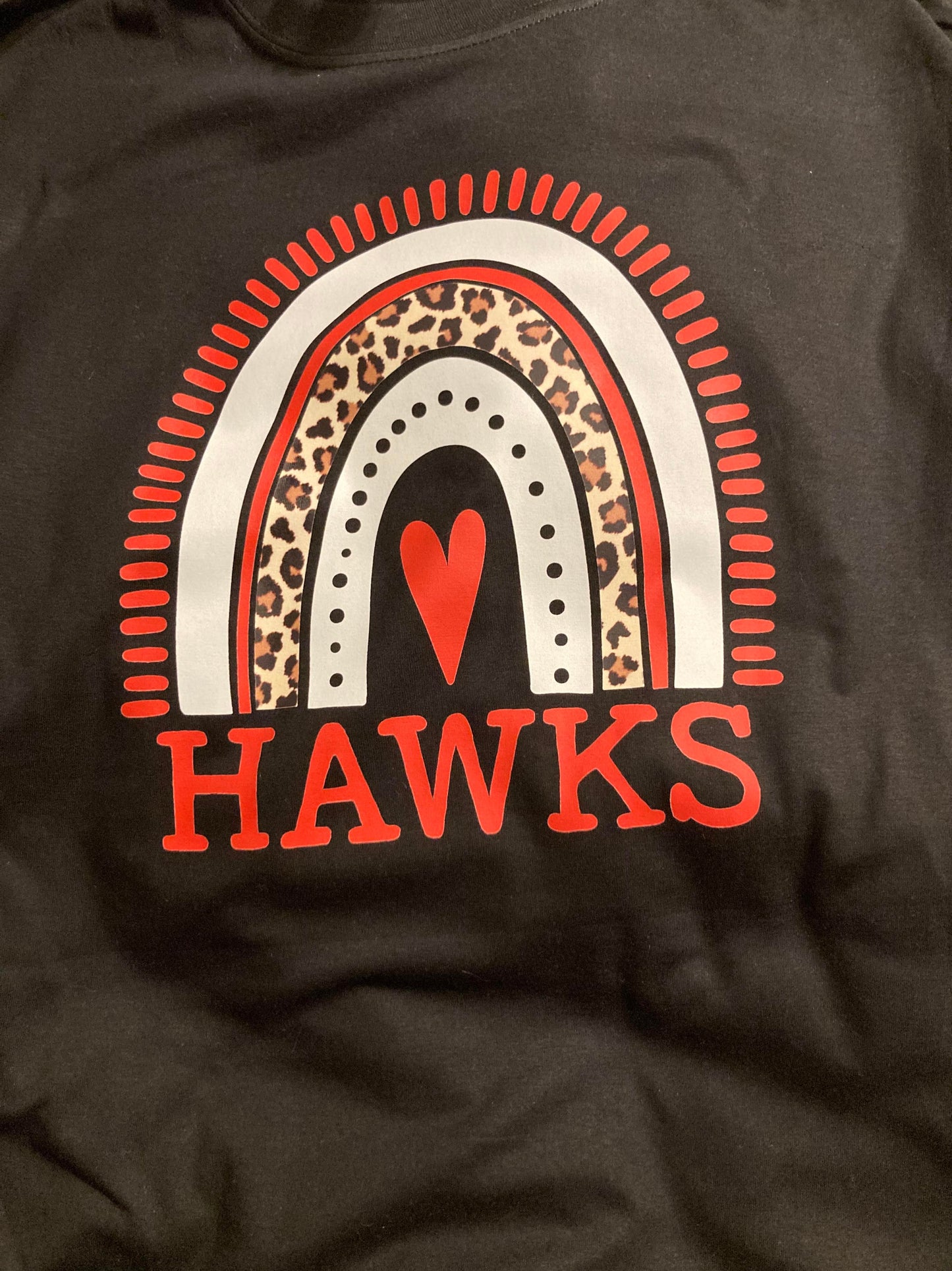 Hawks Rainbow DTF Transfer