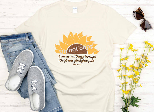 I can do all things Jesus hobo DTF TRANSFER